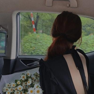 风流女贼海报