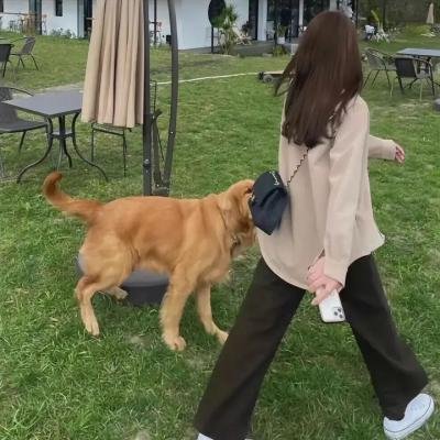 守护甜心!海报